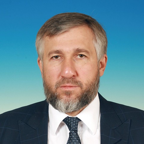 Аникеев Григорий Викторович