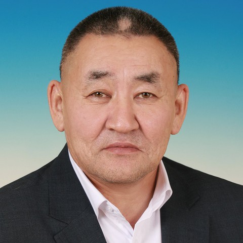 Аммосов Петр Револьдович
